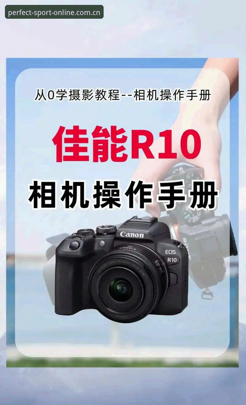 完美体育服务使用指南：从官网入口到最新版本更新的完整操作手册