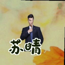 苏晴
